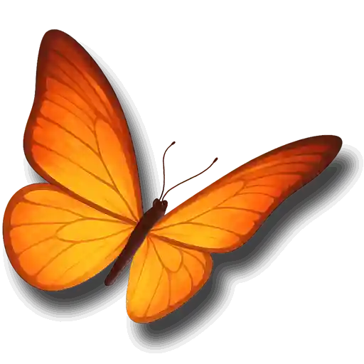 Schmetterling. Illustration